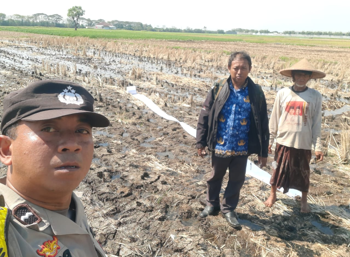 Bhabinkamtibmas Kronjo bersama warga tinjau lahan jagung di Desa Jenggot. Selasa (17/06/2025).